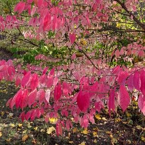 Meet your Posher, JayEll